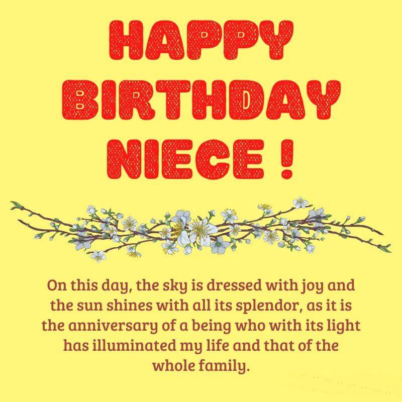 57 Happy Birthday Niece Wishes Messages Quotes Status Images 