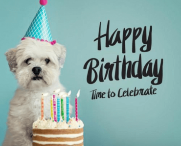 Happy Birthday Wishes for Dog – Wishes, Cake, and Images