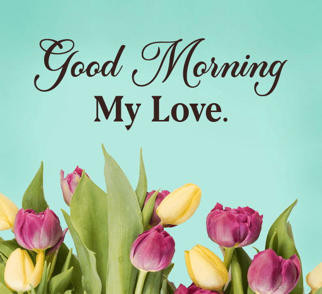 Good Morning Wishes For Lover - Images, Quotes, Messages and Wishes ...