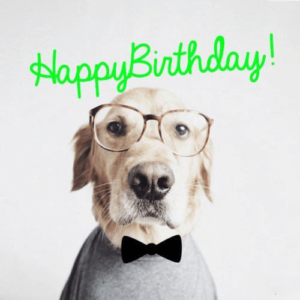 77+ Happy Birthday Wishes For Dog (Pet) Doggy - Wishes, Cake, and Images - The Birthday Wishes