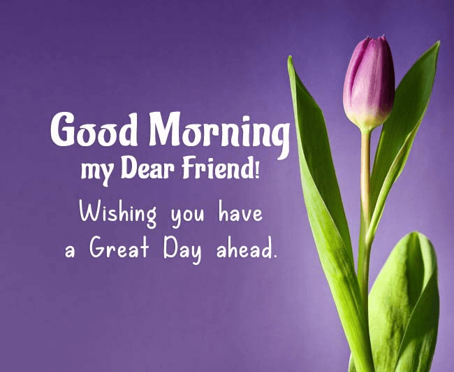 57 Good Morning Messages For Friends Wishes Images Quotes The 