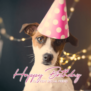 77+ Happy Birthday Wishes For Dog (Pet) Doggy - Wishes, Cake, and Images - The Birthday Wishes