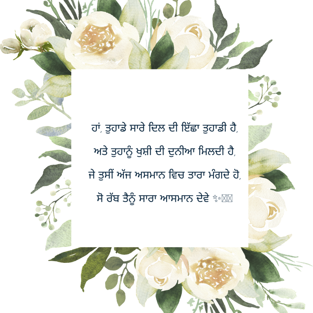 Funny Birthday Wishes And Card For Brother in Punjabi Shayari 