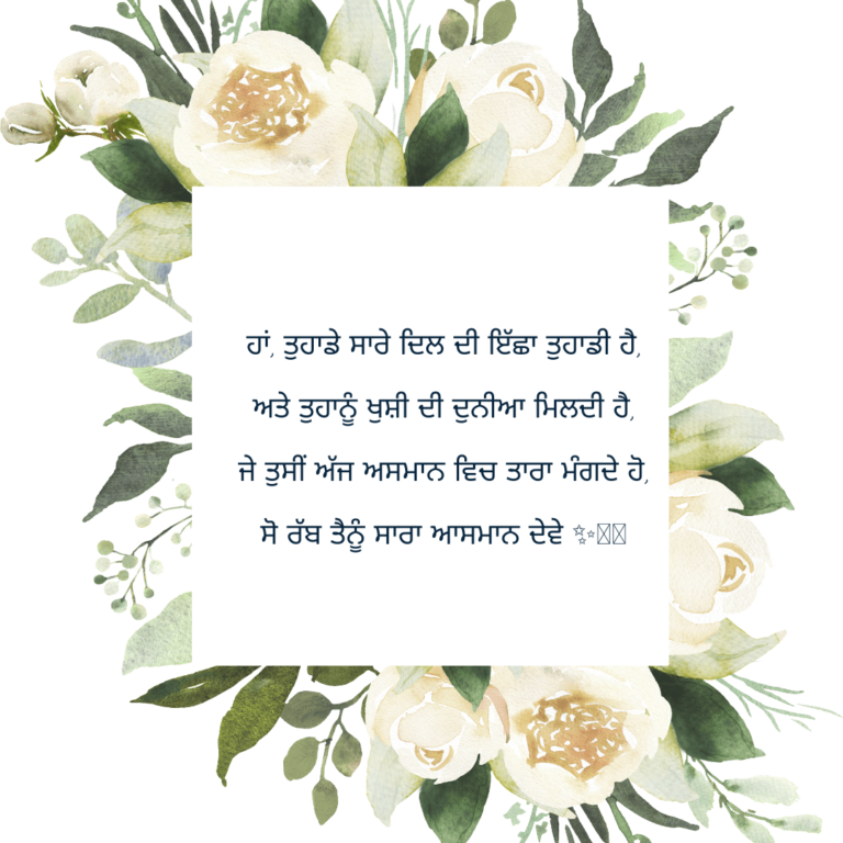 87-punjabi-birthday-wishes-for-brother-quotes-messages-card-and